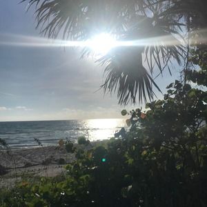 Meet your Posher, Brandy